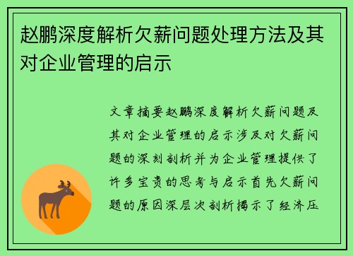 赵鹏深度解析欠薪问题处理方法及其对企业管理的启示